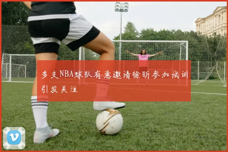多支NBA球队有意邀请徐昕参加试训引发关注