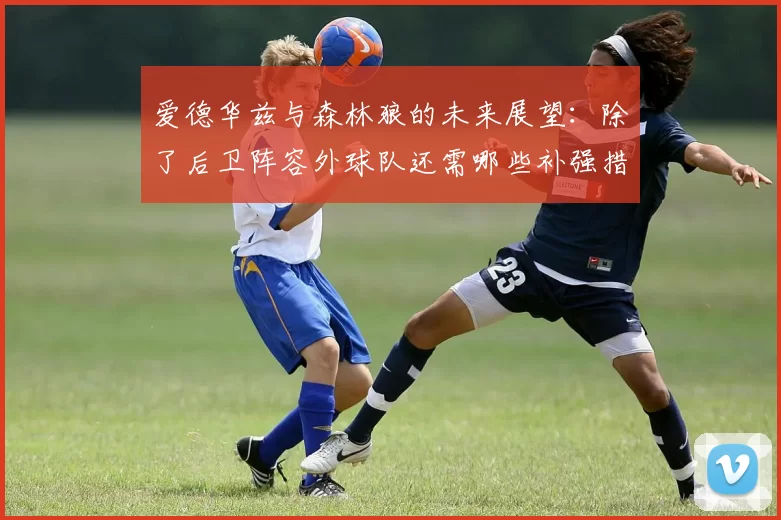爱德华兹与森林狼的未来展望：除了后卫阵容外球队还需哪些补强措施