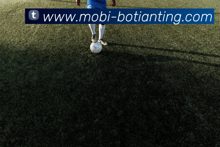 博天堂发展历程